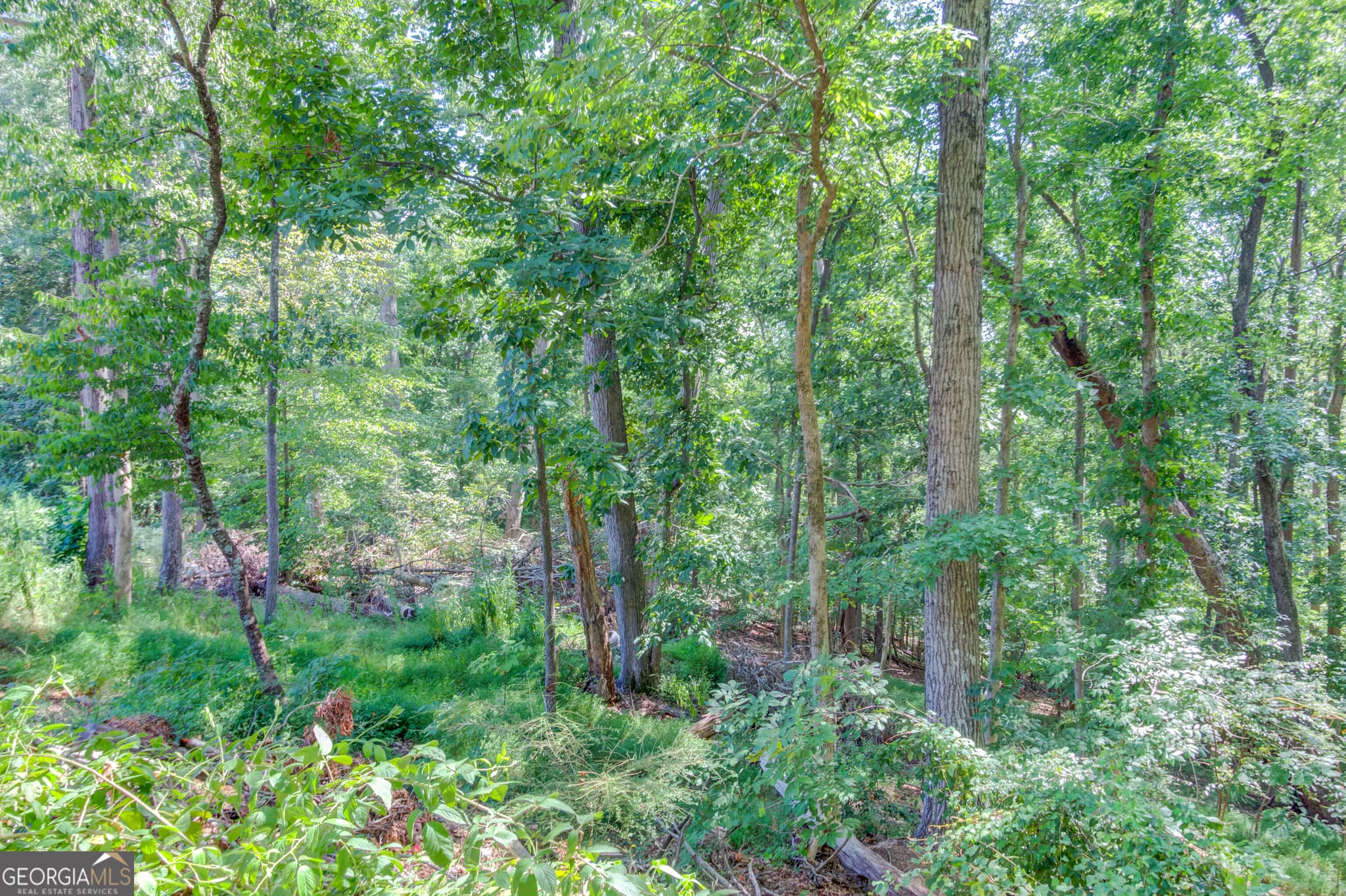residential lot for sale at 4301 Holiday Heights Drive, Oakwood, GA 30566 — photo 6