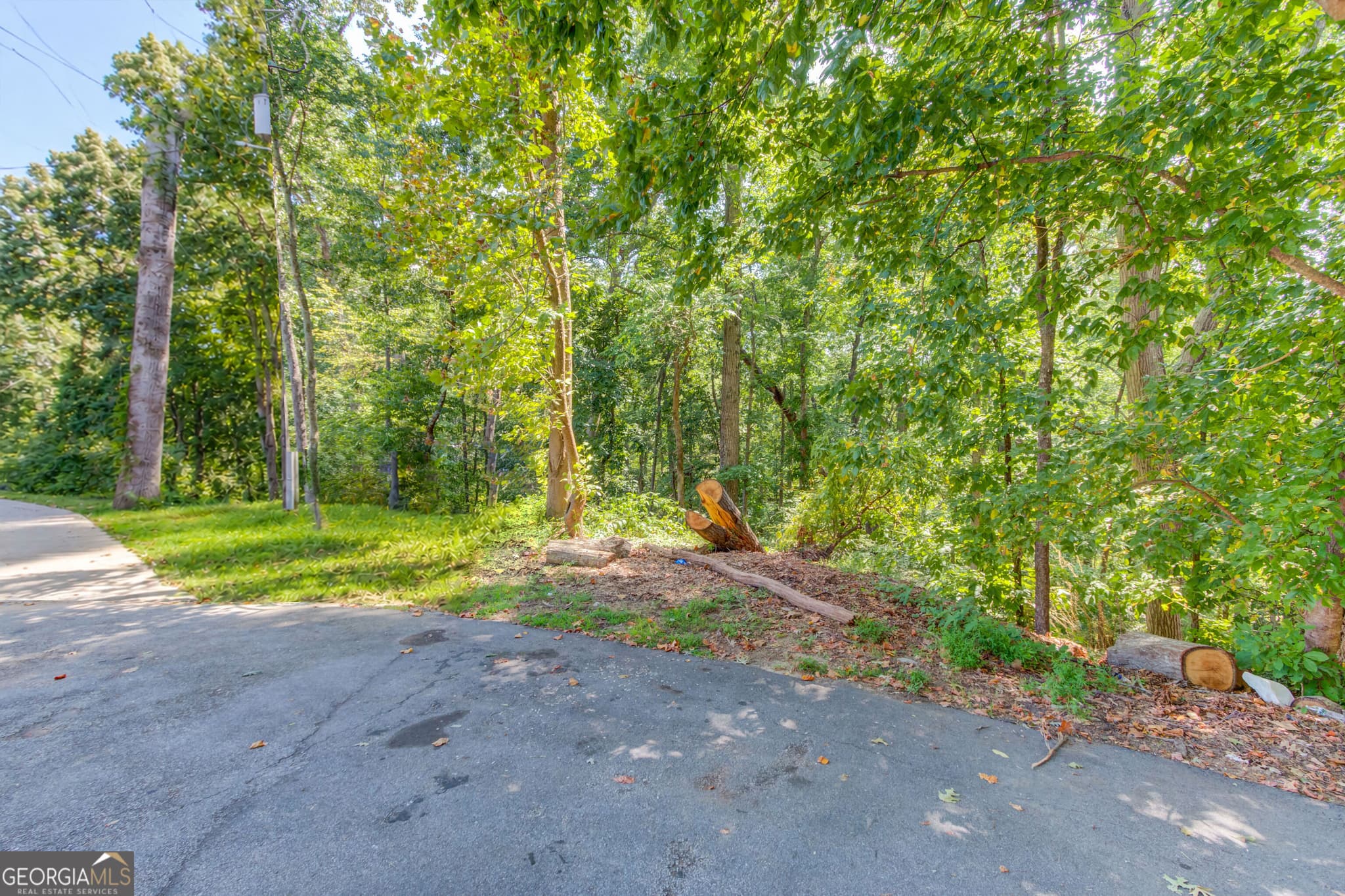 residential lot for sale at 4301 Holiday Heights Drive, Oakwood, GA 30566 — photo 3