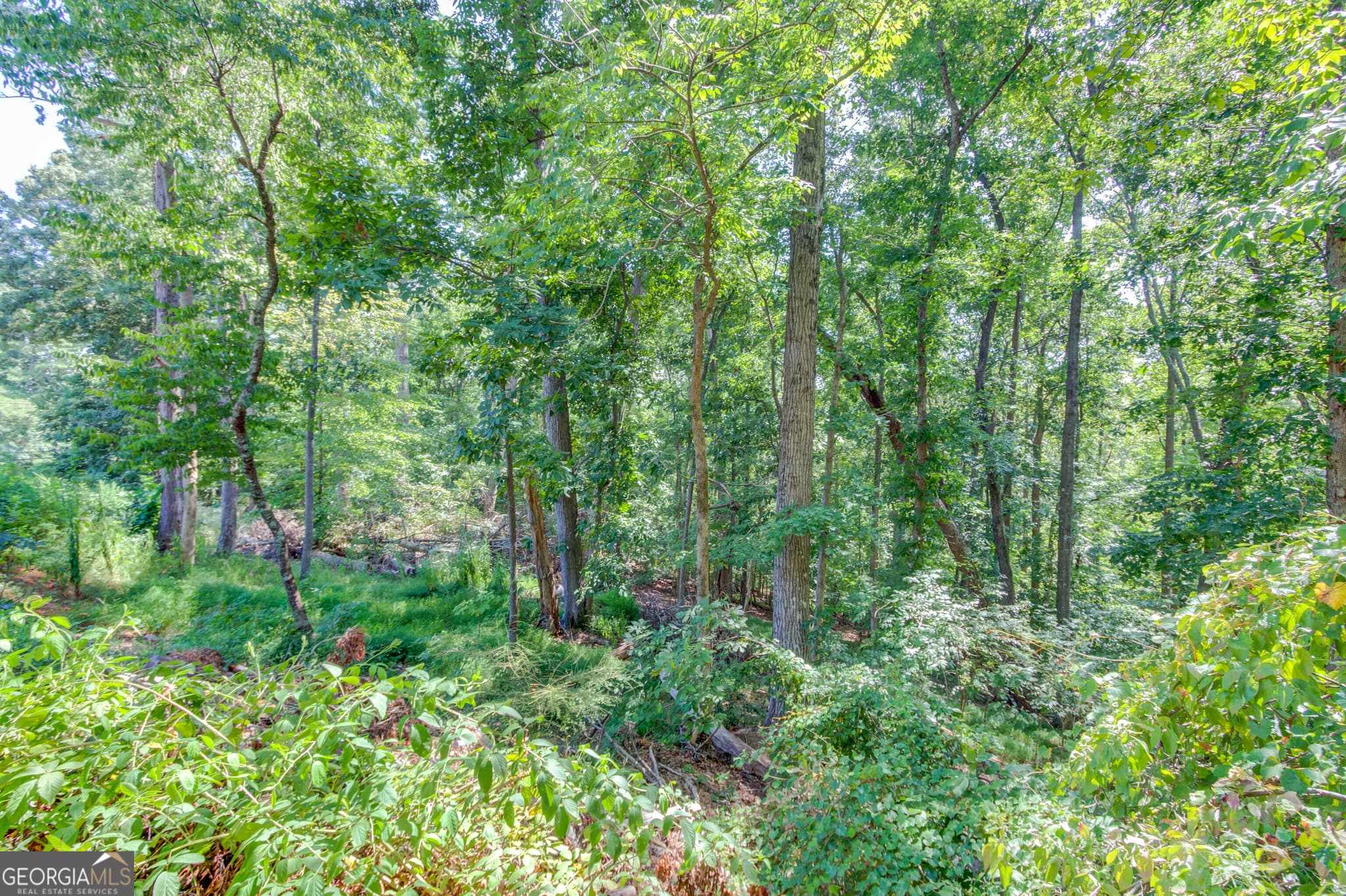 residential lot for sale at 4301 Holiday Heights Drive, Oakwood, GA 30566 — photo 5