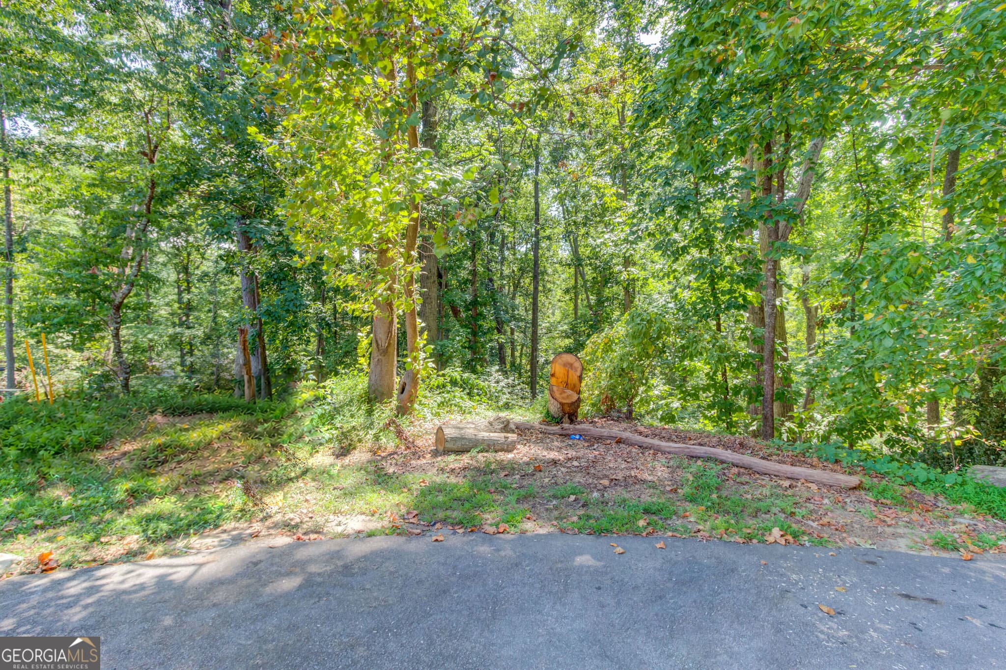 residential lot for sale at 4301 Holiday Heights Drive, Oakwood, GA 30566 — photo 4