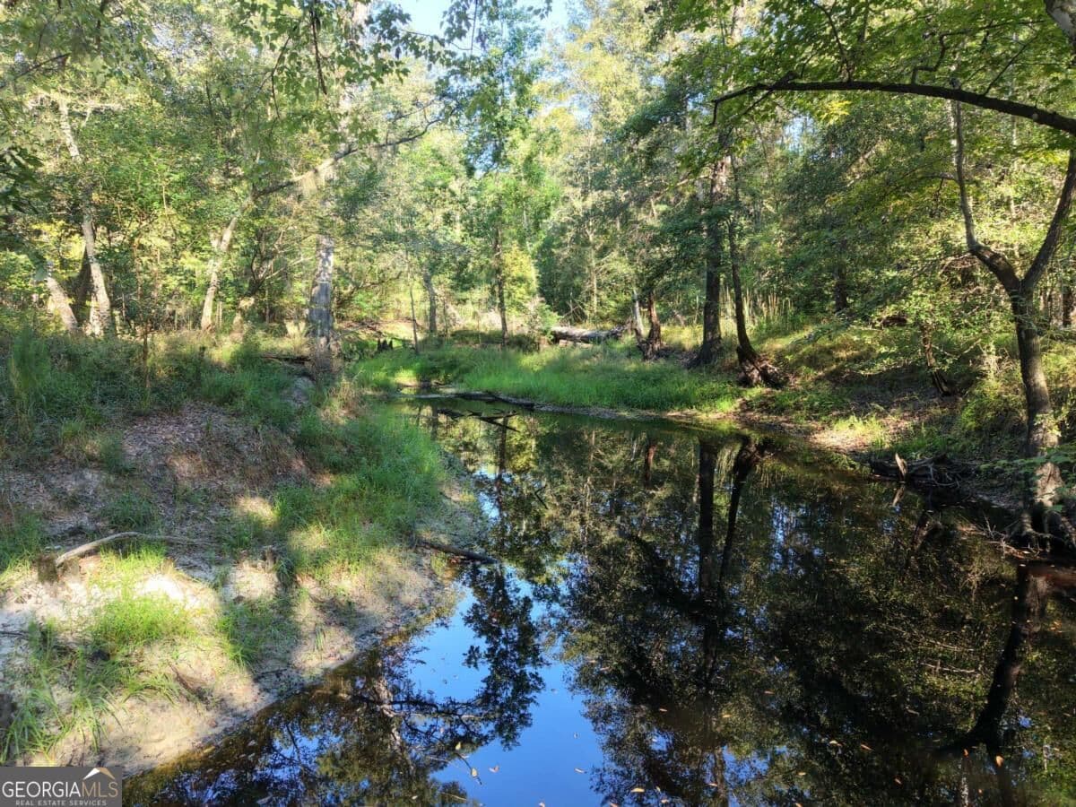 unimproved land for sale at 114 Riley Court, Springfield, GA 31329 — photo 2