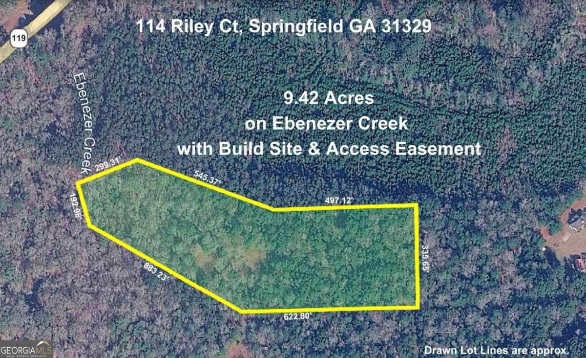 unimproved land for sale at 114 Riley Court, Springfield, GA 31329 — photo 3