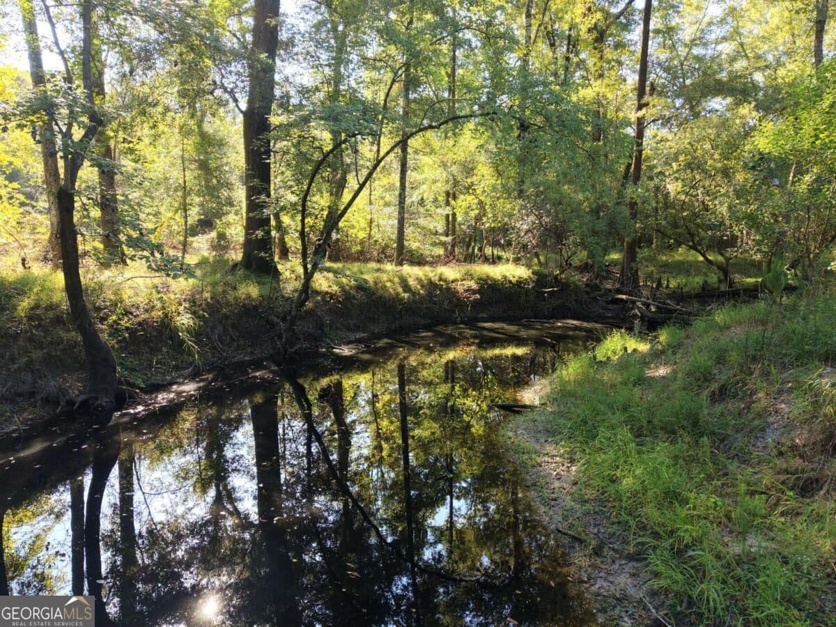 unimproved land for sale at 114 Riley Court, Springfield, GA 31329
