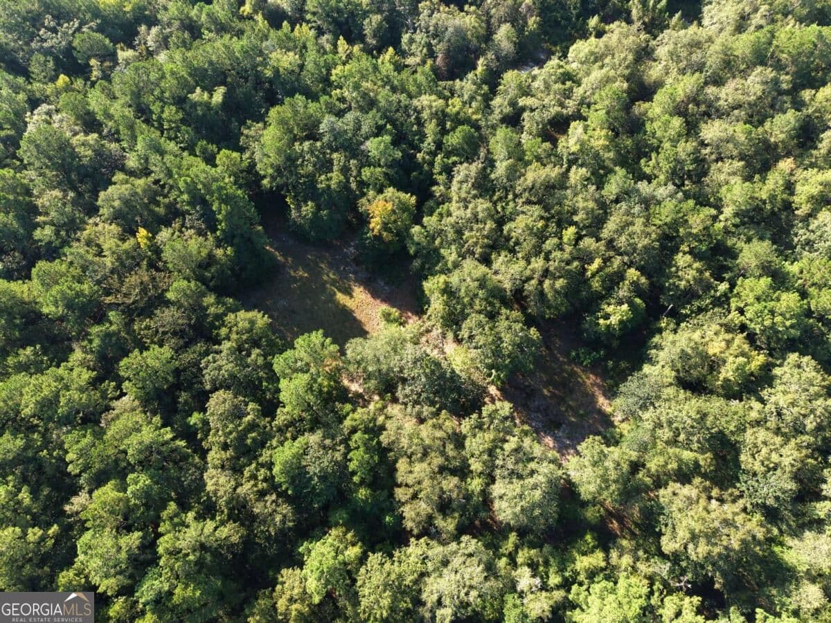 unimproved land for sale at 114 Riley Court, Springfield, GA 31329 — photo 9
