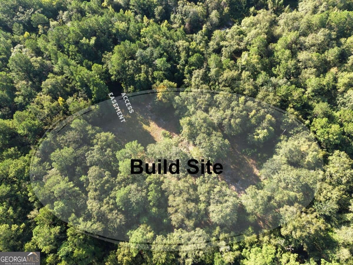 unimproved land for sale at 114 Riley Court, Springfield, GA 31329 — photo 8