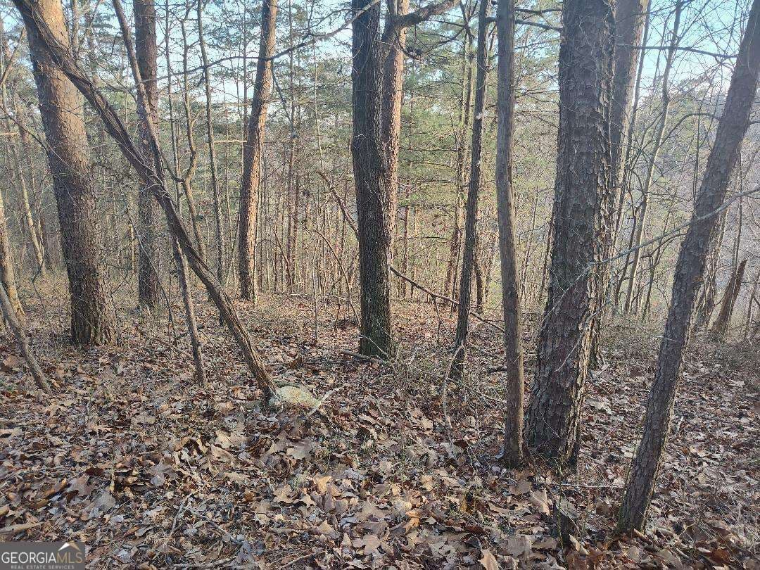 residential lot for sale at 1058 Mayfield Lane, Ranger, GA 30734 — photo 2