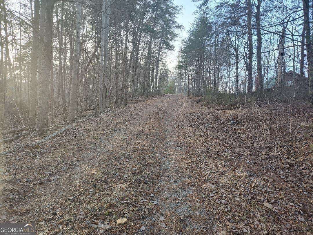 residential lot for sale at 1058 Mayfield Lane, Ranger, GA 30734 — photo 6