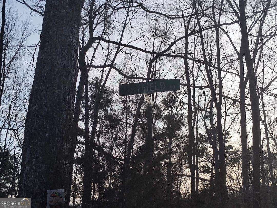 residential lot for sale at 1058 Mayfield Lane, Ranger, GA 30734 — photo 7