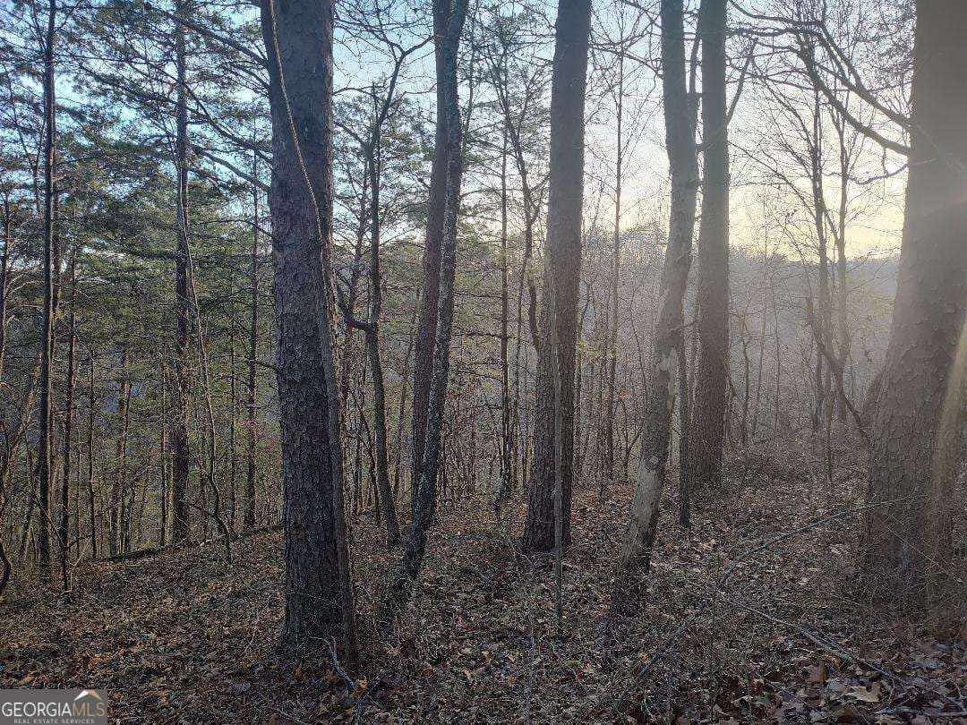 residential lot for sale at 1058 Mayfield Lane, Ranger, GA 30734 — photo 1 of 17