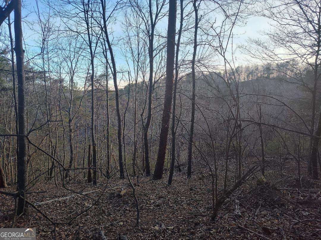 residential lot for sale at 1058 Mayfield Lane, Ranger, GA 30734 — photo 5