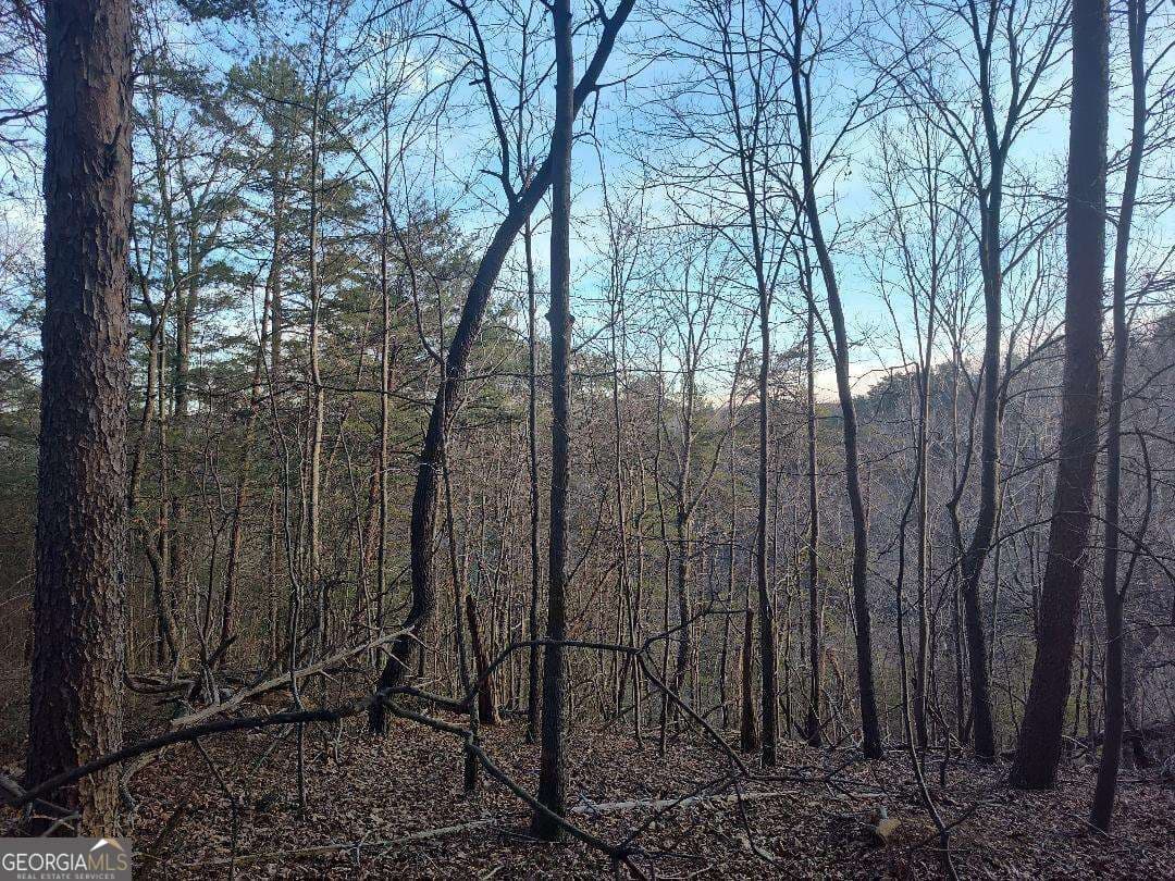 residential lot for sale at 1058 Mayfield Lane, Ranger, GA 30734 — photo 9
