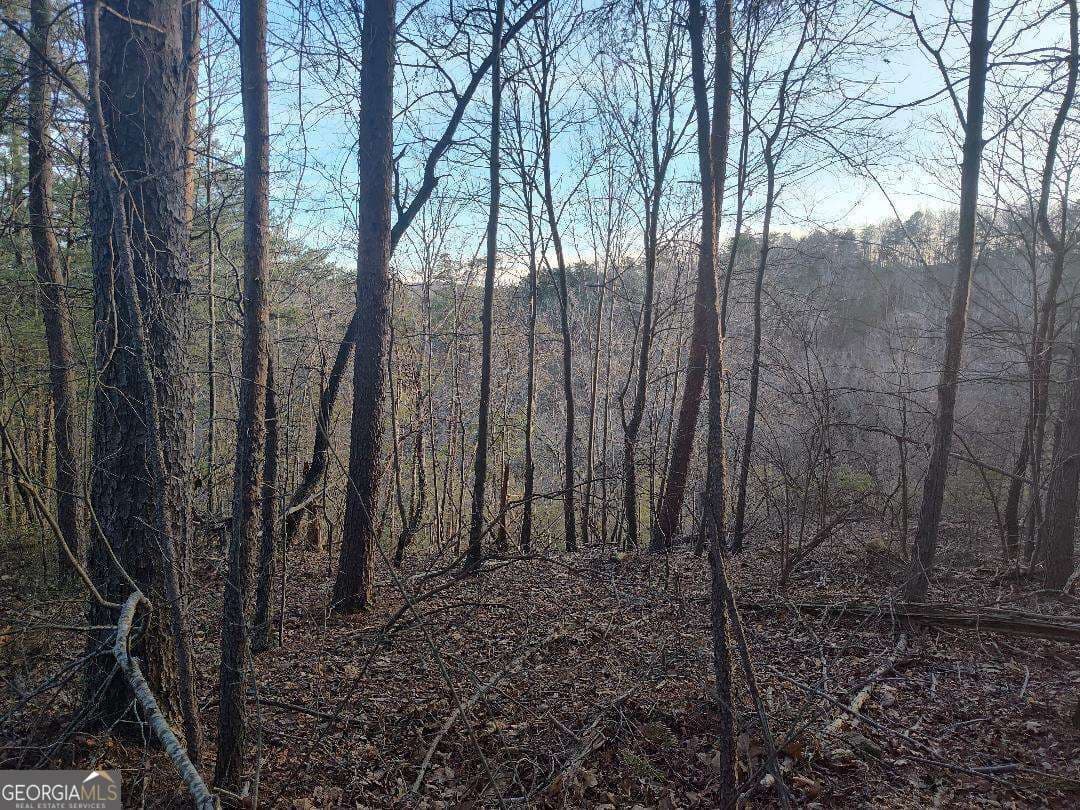 residential lot for sale at 1058 Mayfield Lane, Ranger, GA 30734 — photo 4