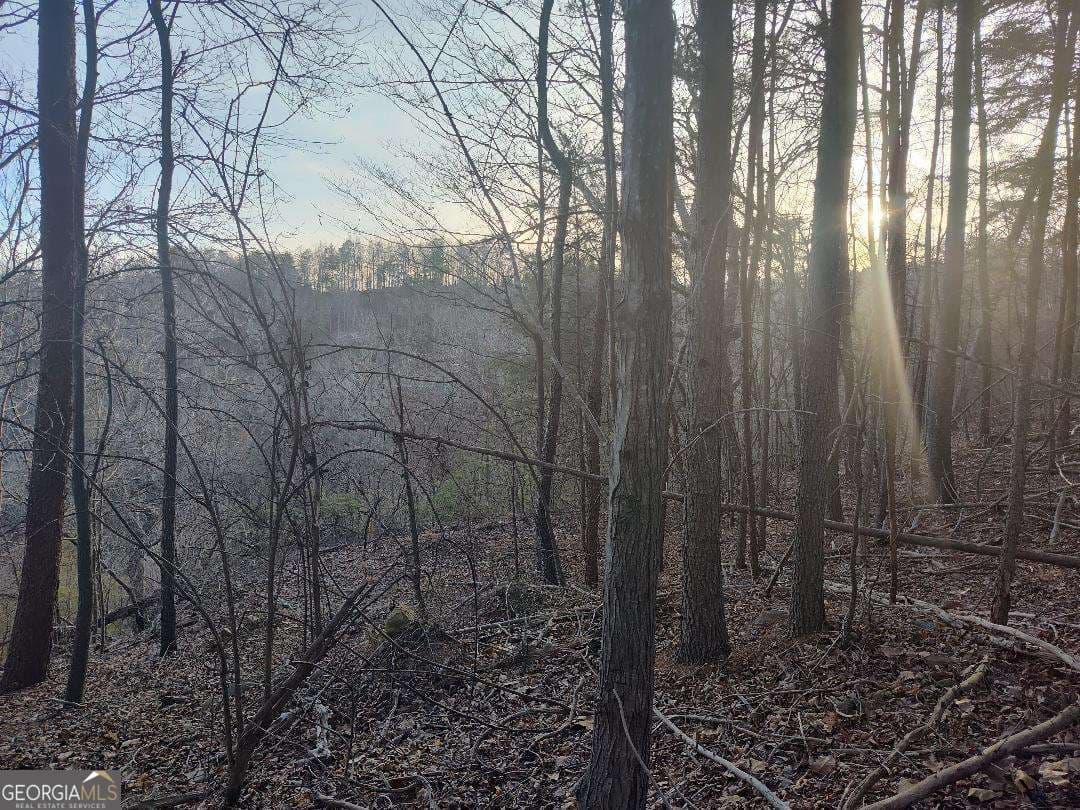 residential lot for sale at 1058 Mayfield Lane, Ranger, GA 30734 — photo 8