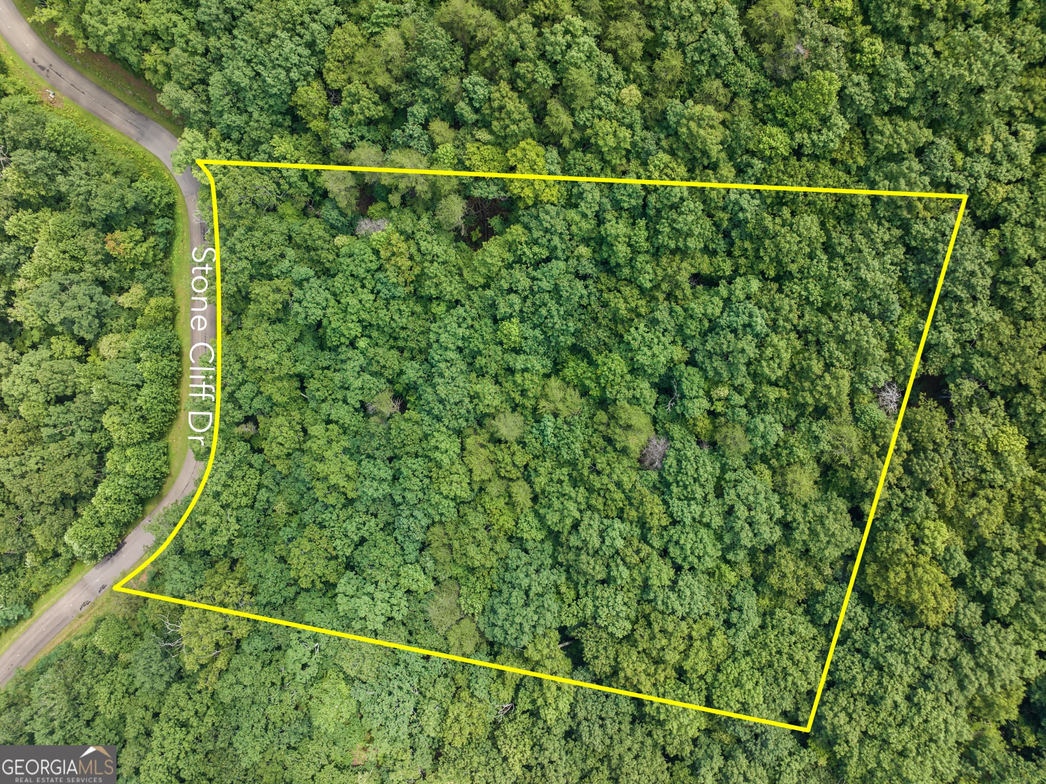 residential lot for sale at 233 Stone Cliff Drive 233, Ellijay, GA 30536 — photo 2