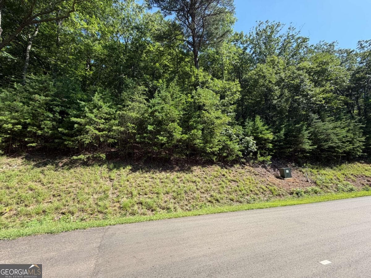 residential lot for sale at 233 Stone Cliff Drive 233, Ellijay, GA 30536 — photo 6