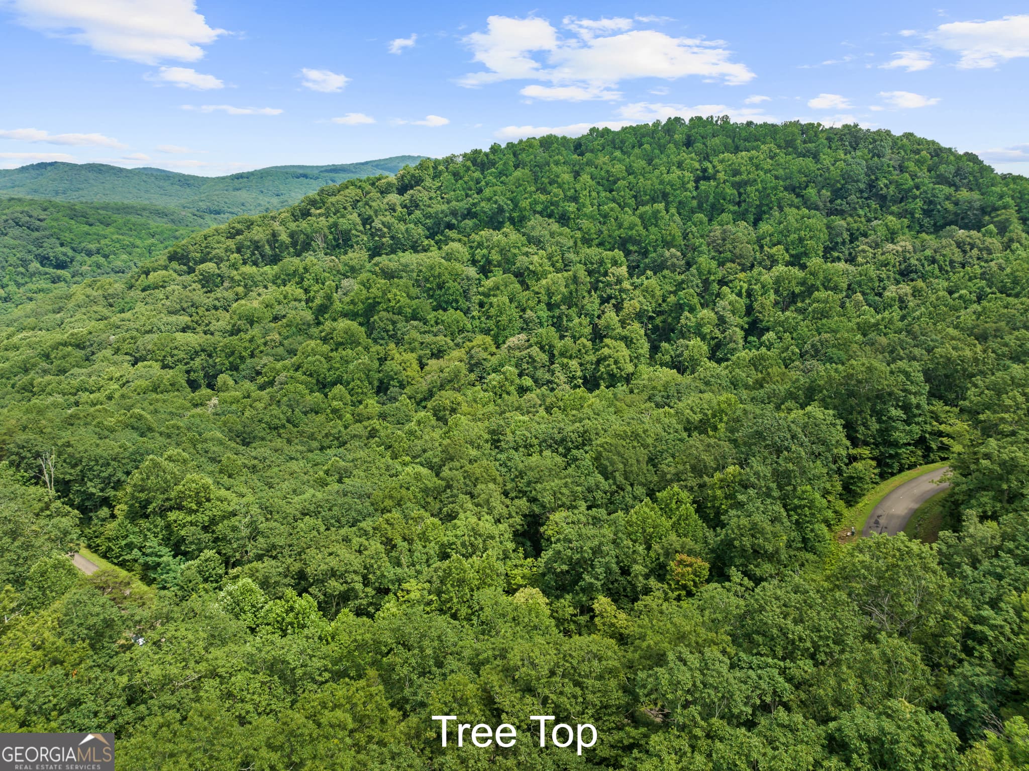 residential lot for sale at 233 Stone Cliff Drive 233, Ellijay, GA 30536 — photo 3