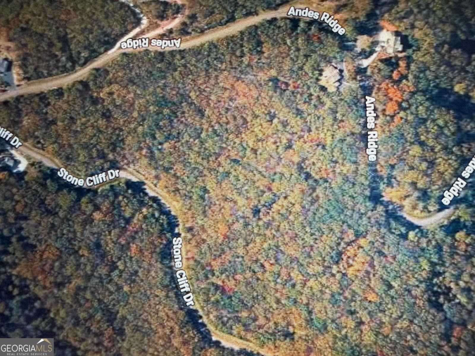 residential lot for sale at 233 Stone Cliff Drive 233, Ellijay, GA 30536 — photo 5