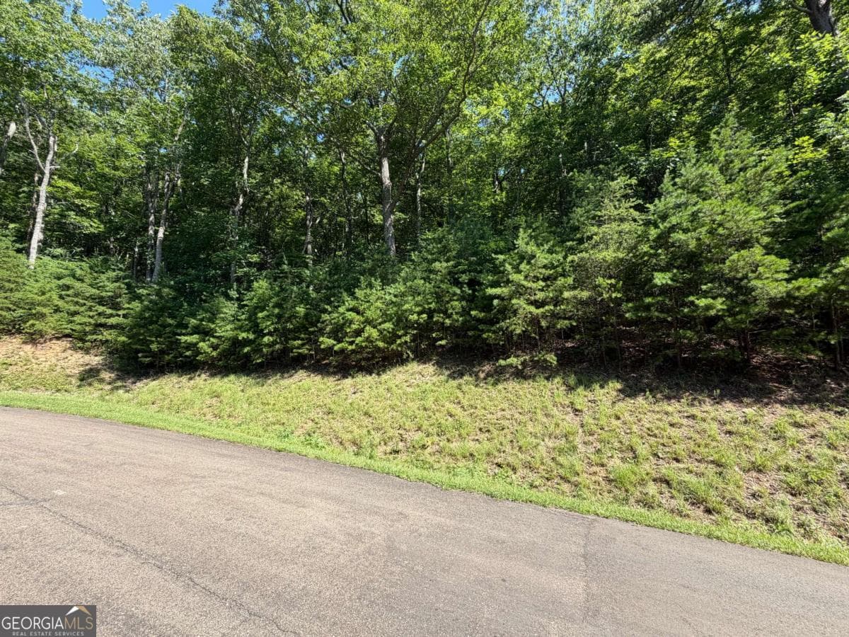 residential lot for sale at 233 Stone Cliff Drive 233, Ellijay, GA 30536 — photo 10