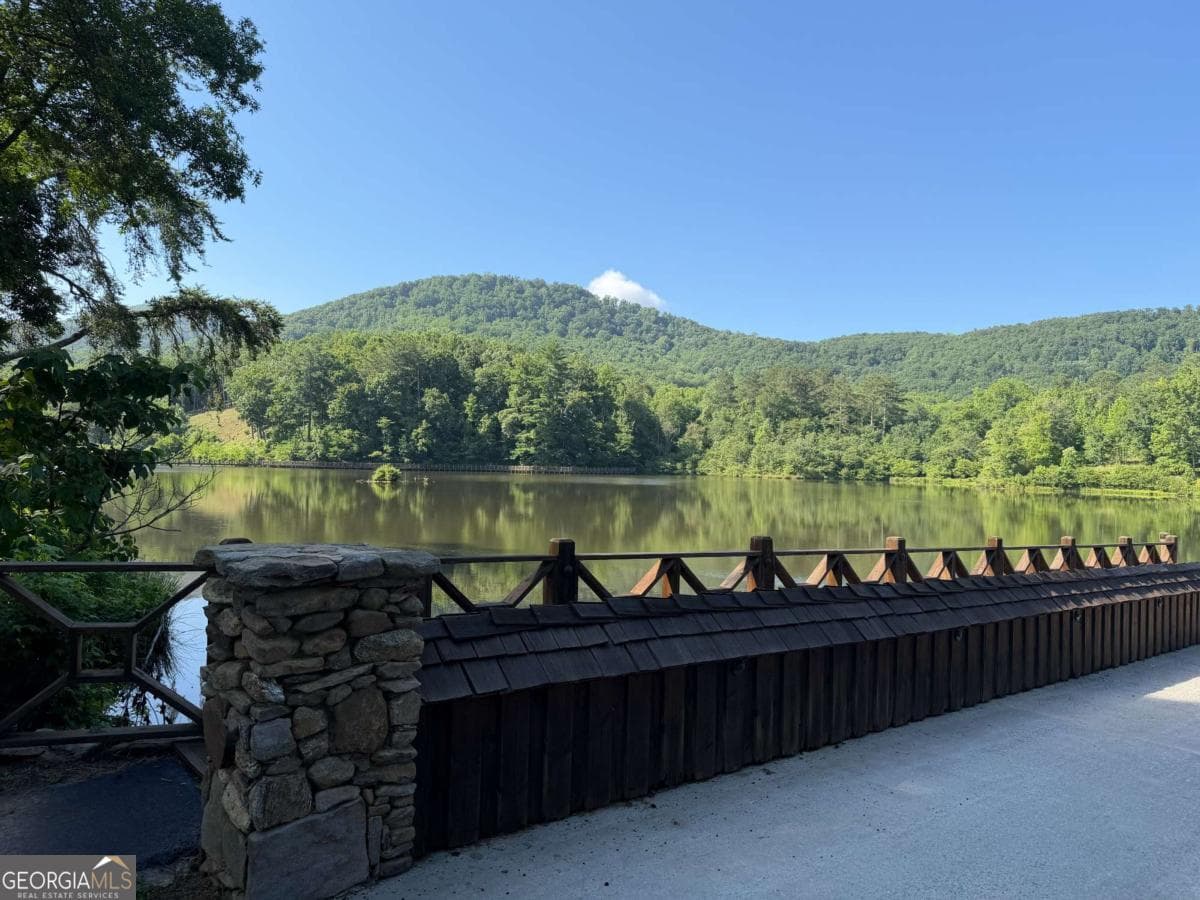 residential lot for sale at 233 Stone Cliff Drive 233, Ellijay, GA 30536 — photo 4