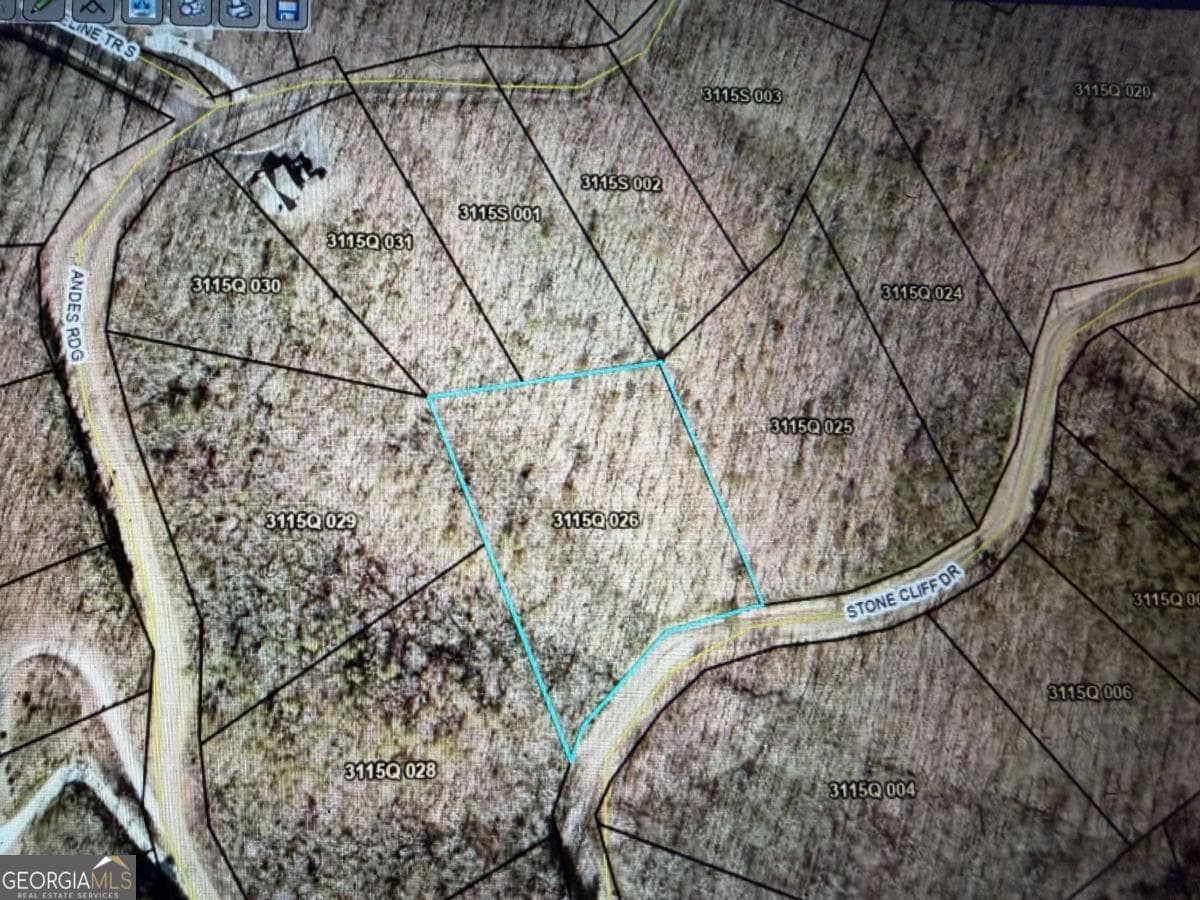 residential lot for sale at 233 Stone Cliff Drive 233, Ellijay, GA 30536 — photo 8