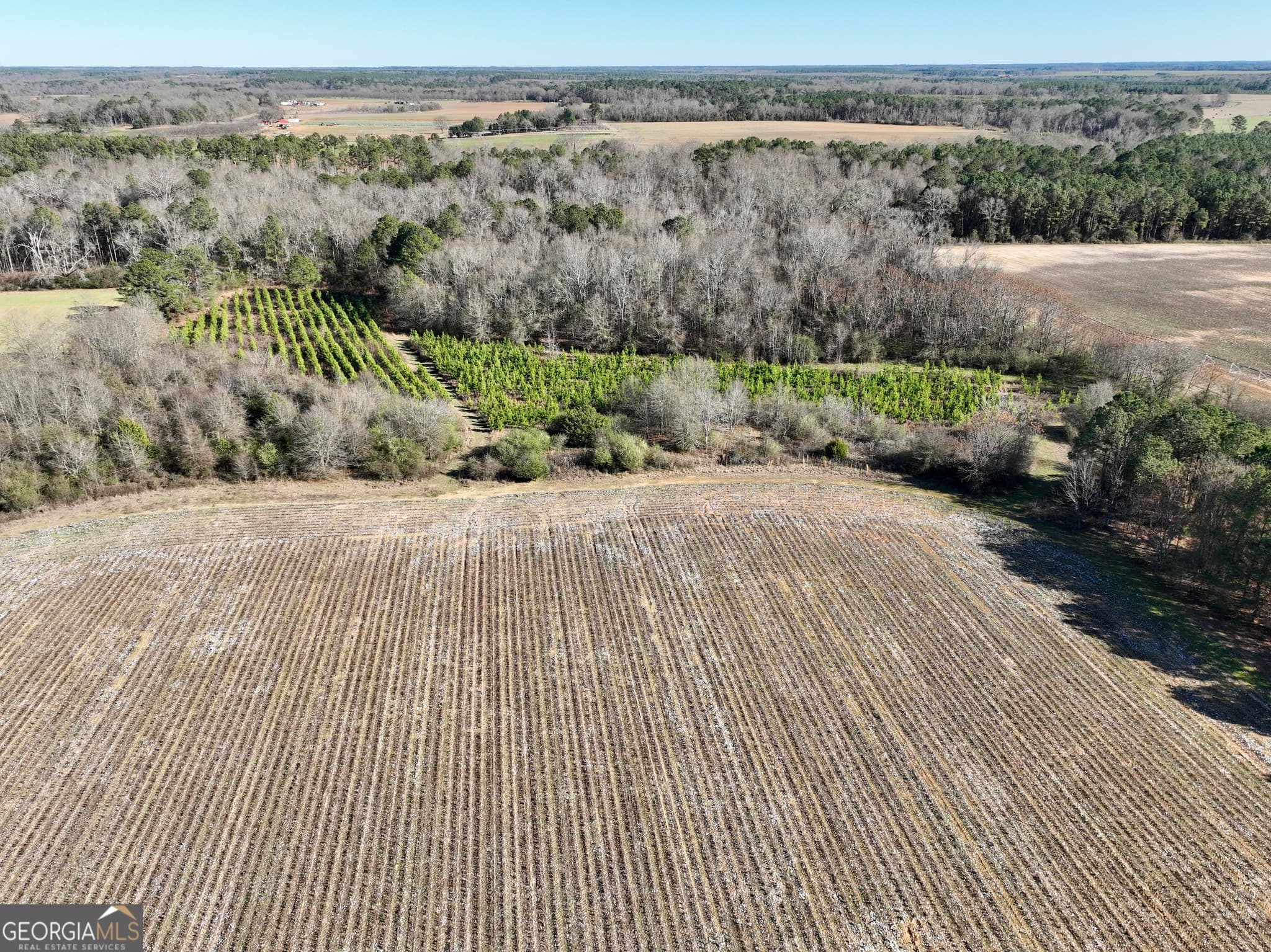 agriculture for sale at 0 Jenkins Farm Road, Byromville, GA 31007 — photo 5