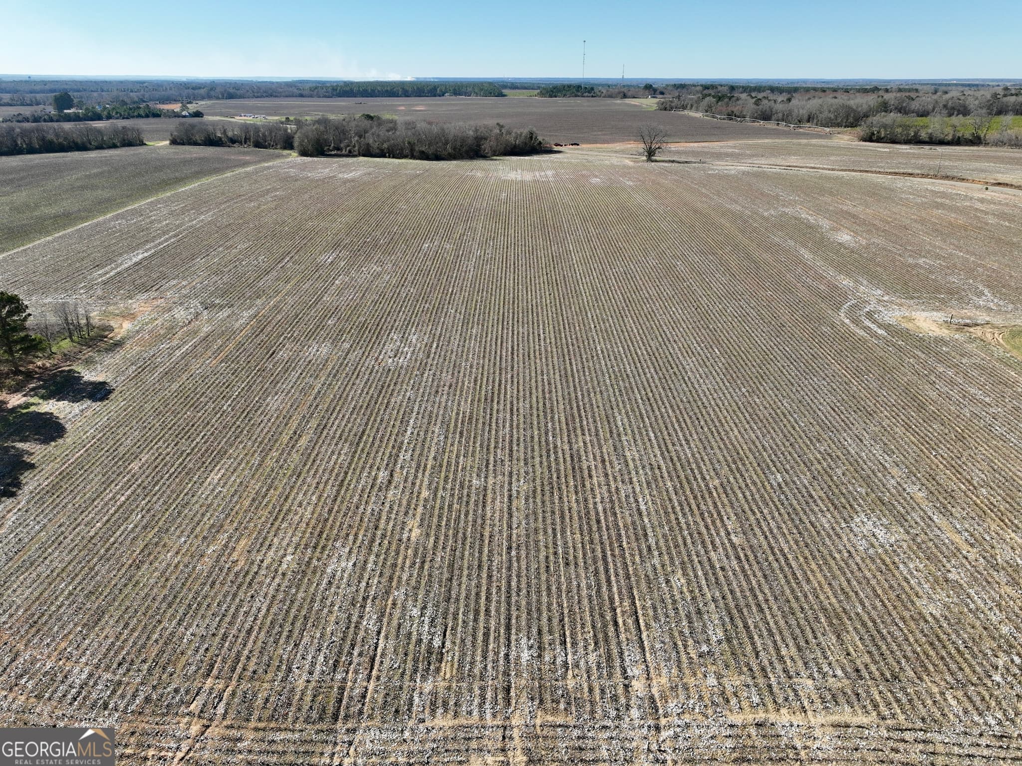 agriculture for sale at 0 Jenkins Farm Road, Byromville, GA 31007 — photo 4