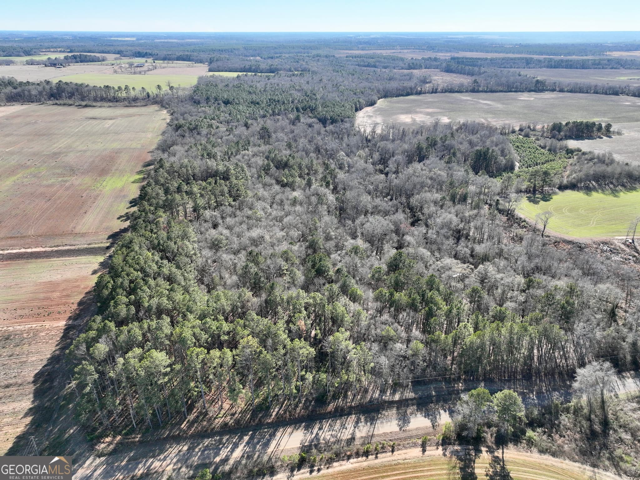 agriculture for sale at 0 Jenkins Farm Road, Byromville, GA 31007 — photo 8