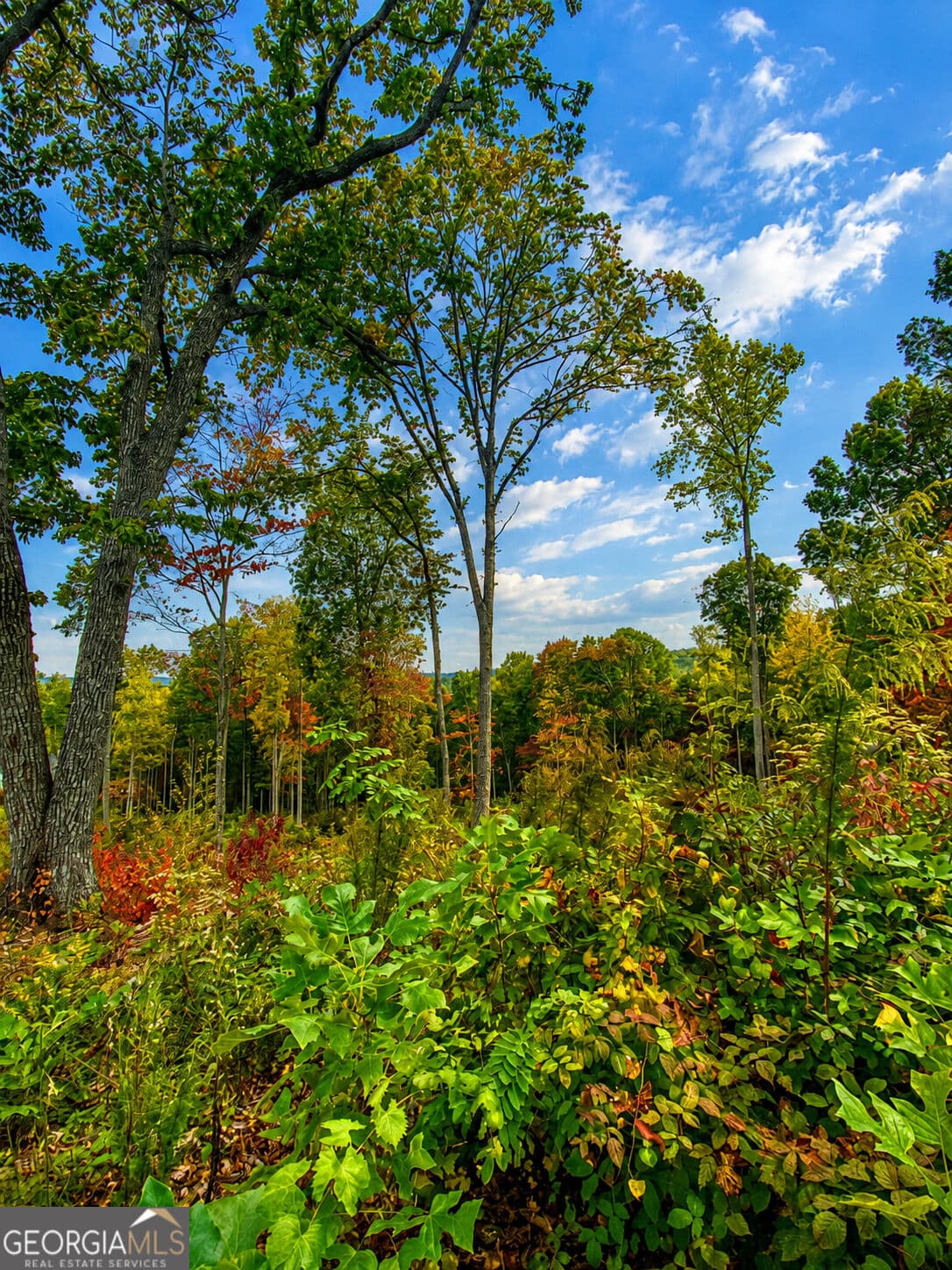 residential lot for sale at 1084 Highgrove Drive 276, Talking Rock, GA 30175 — photo 2