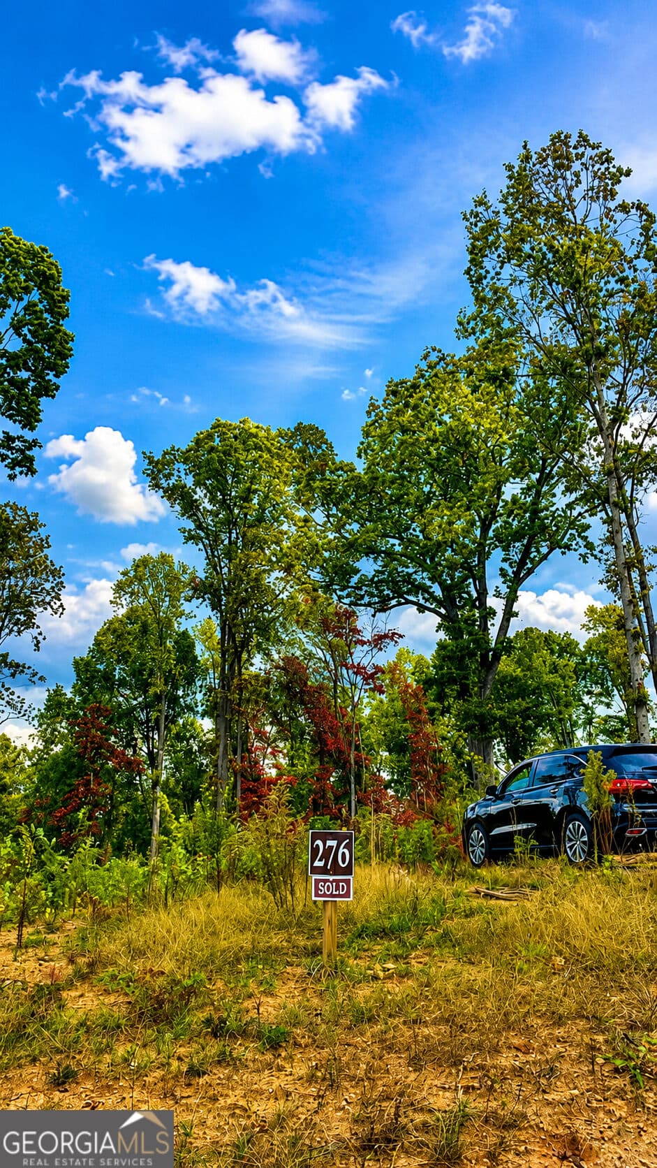 residential lot for sale at 1084 Highgrove Drive 276, Talking Rock, GA 30175 — photo 6
