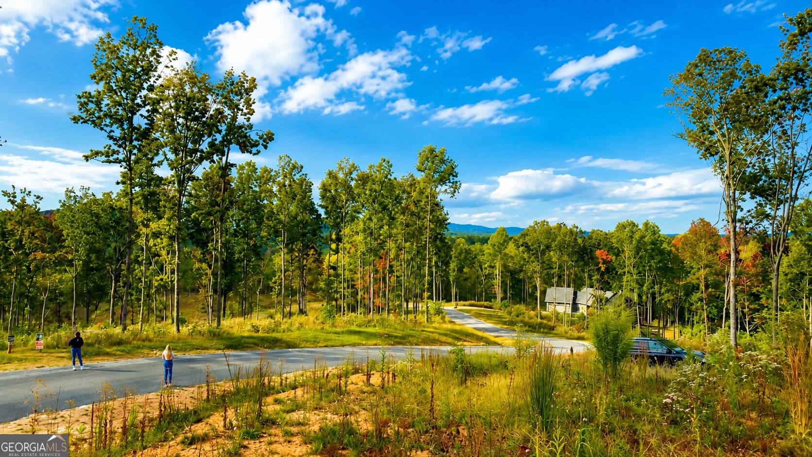 residential lot for sale at 1084 Highgrove Drive 276, Talking Rock, GA 30175 — photo 7