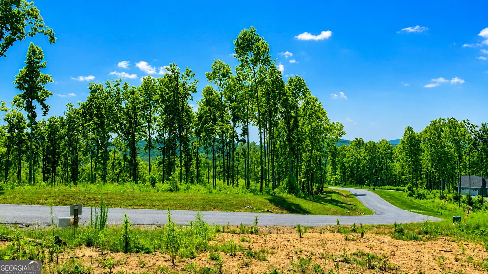 residential lot for sale at 1084 Highgrove Drive 276, Talking Rock, GA 30175 — photo 3