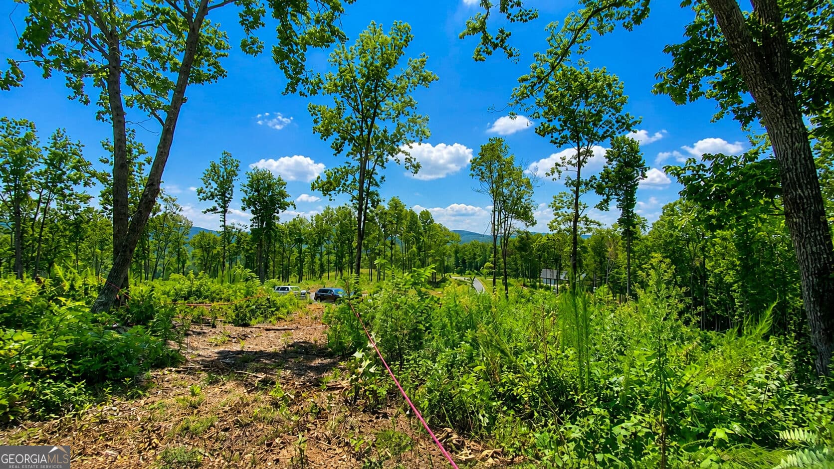 residential lot for sale at 1084 Highgrove Drive 276, Talking Rock, GA 30175 — photo 1 of 50