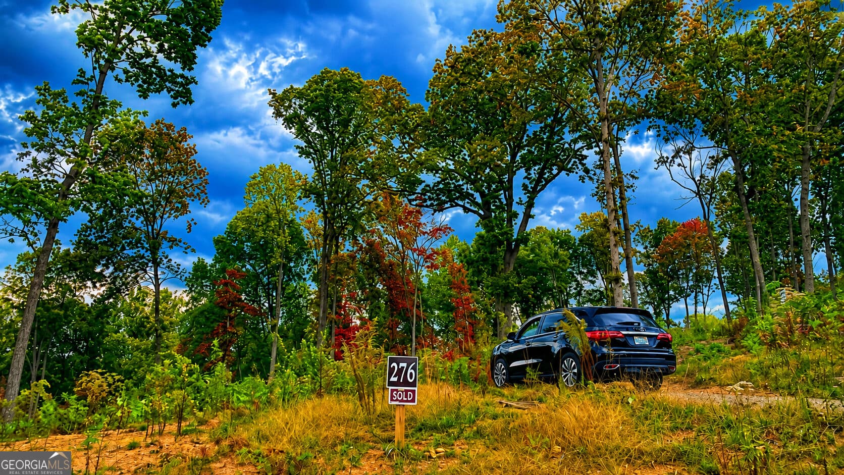 residential lot for sale at 1084 Highgrove Drive 276, Talking Rock, GA 30175 — photo 5