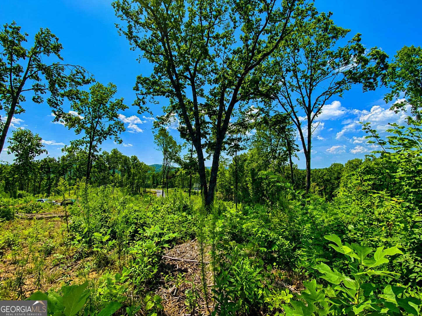 residential lot for sale at 1084 Highgrove Drive 276, Talking Rock, GA 30175 — photo 9
