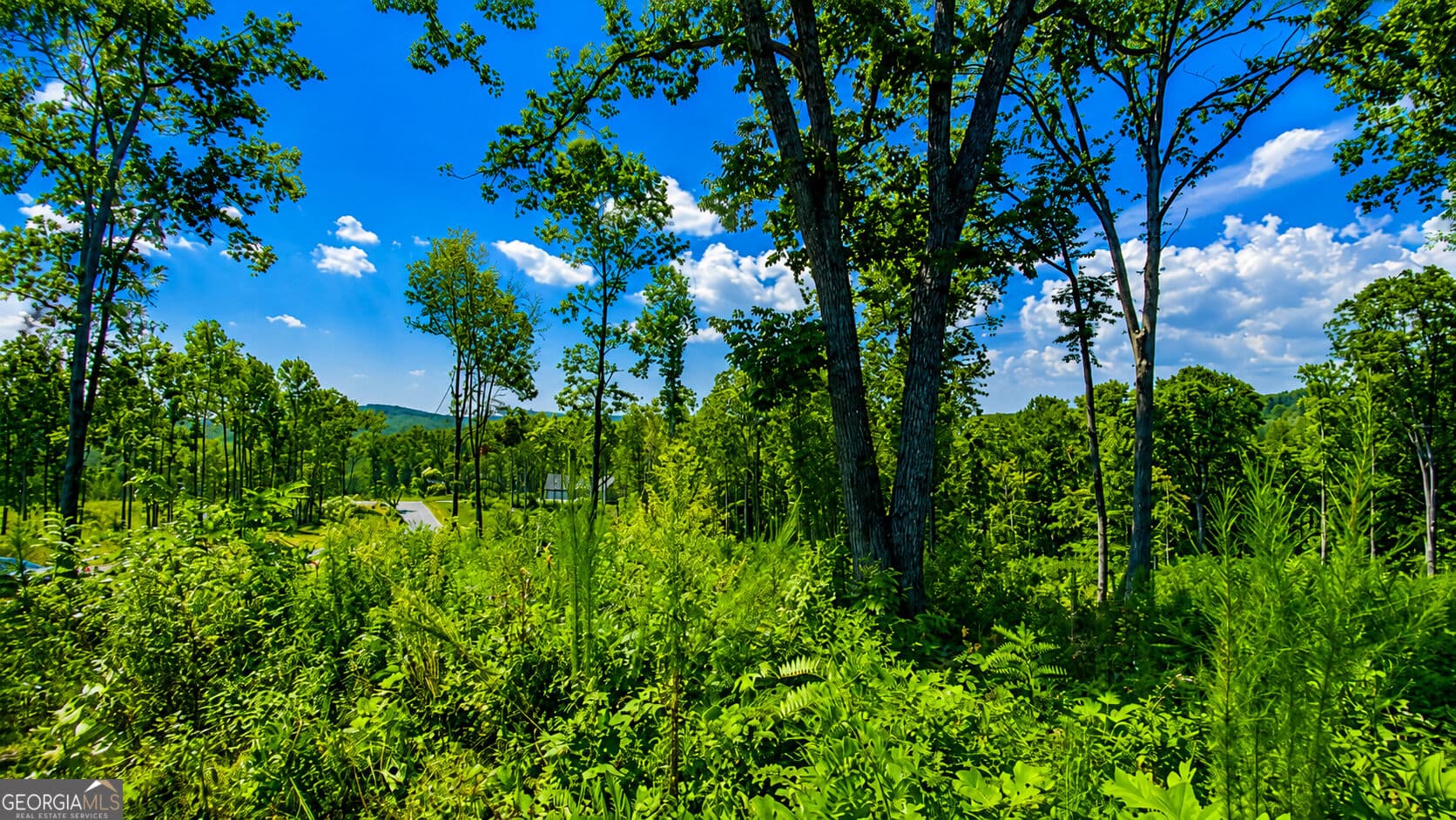 residential lot for sale at 1084 Highgrove Drive 276, Talking Rock, GA 30175 — photo 10