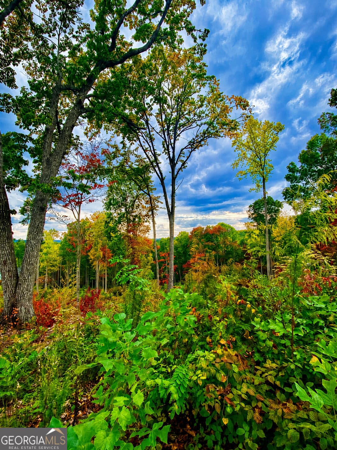 residential lot for sale at 1084 Highgrove Drive 276, Talking Rock, GA 30175 — photo 4