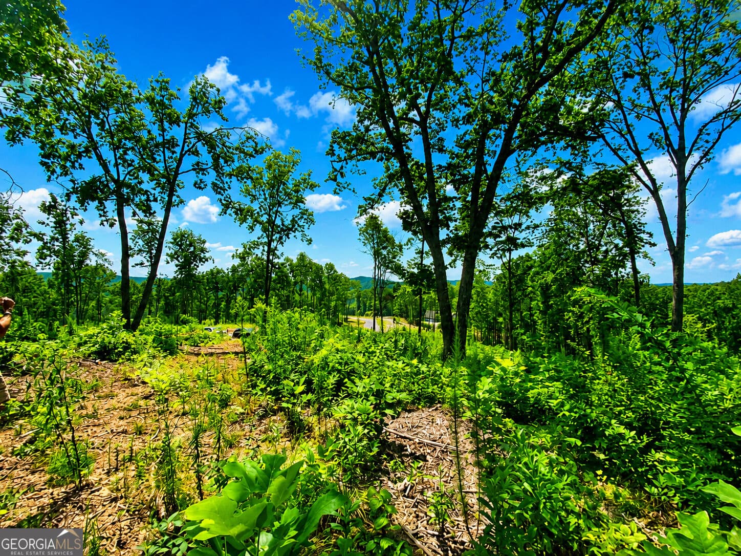 residential lot for sale at 1084 Highgrove Drive 276, Talking Rock, GA 30175 — photo 8
