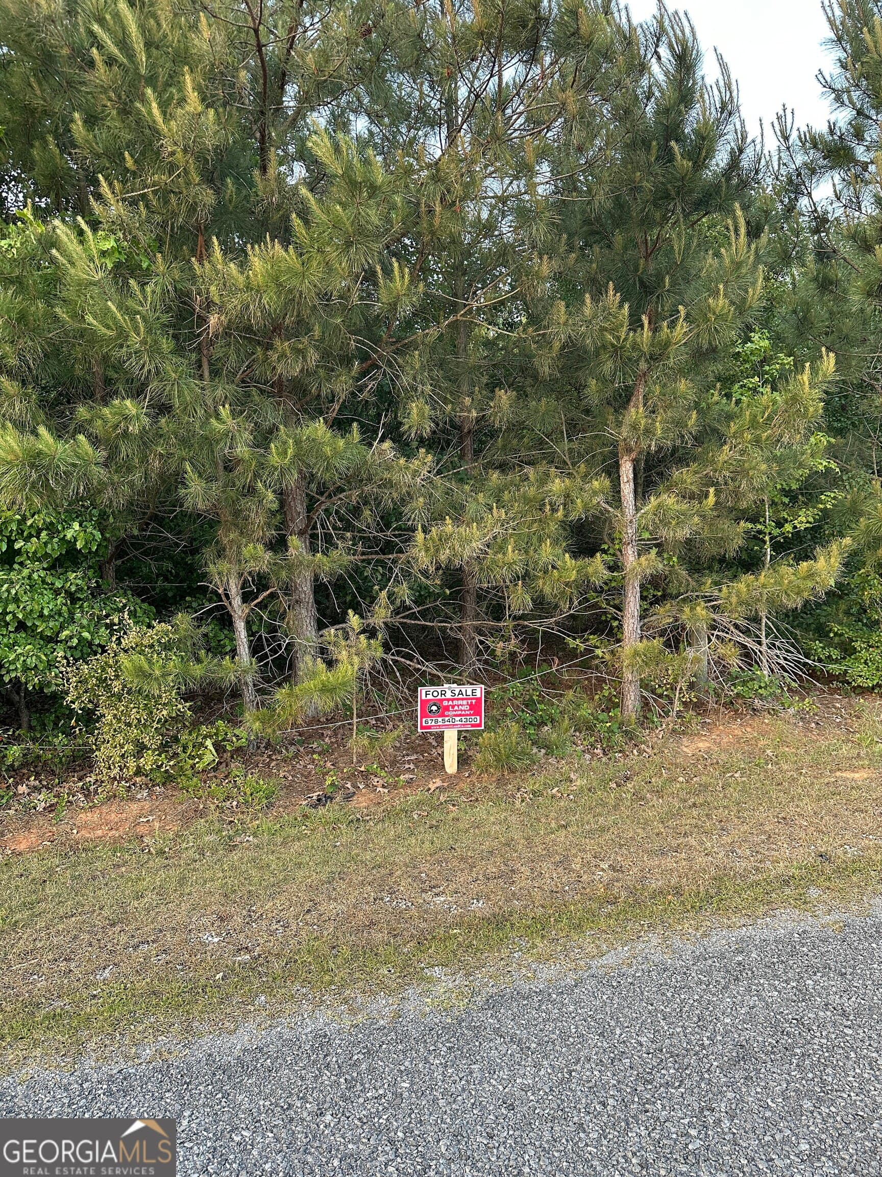 unimproved land for sale at LOT 6 County Road 520, Centre, AL 35960 — photo 3