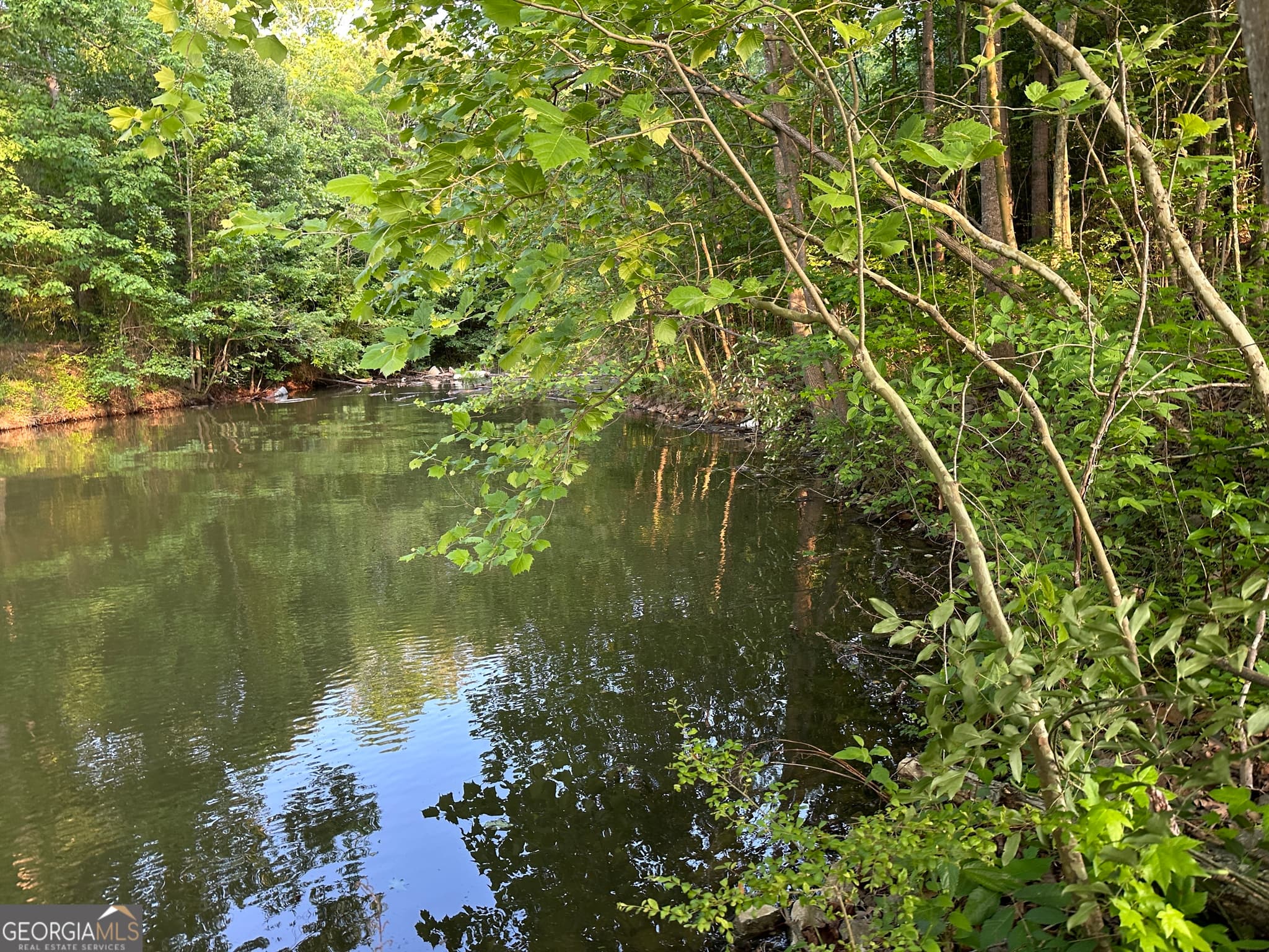 unimproved land for sale at LOT 6 County Road 520, Centre, AL 35960 — photo 1 of 17
