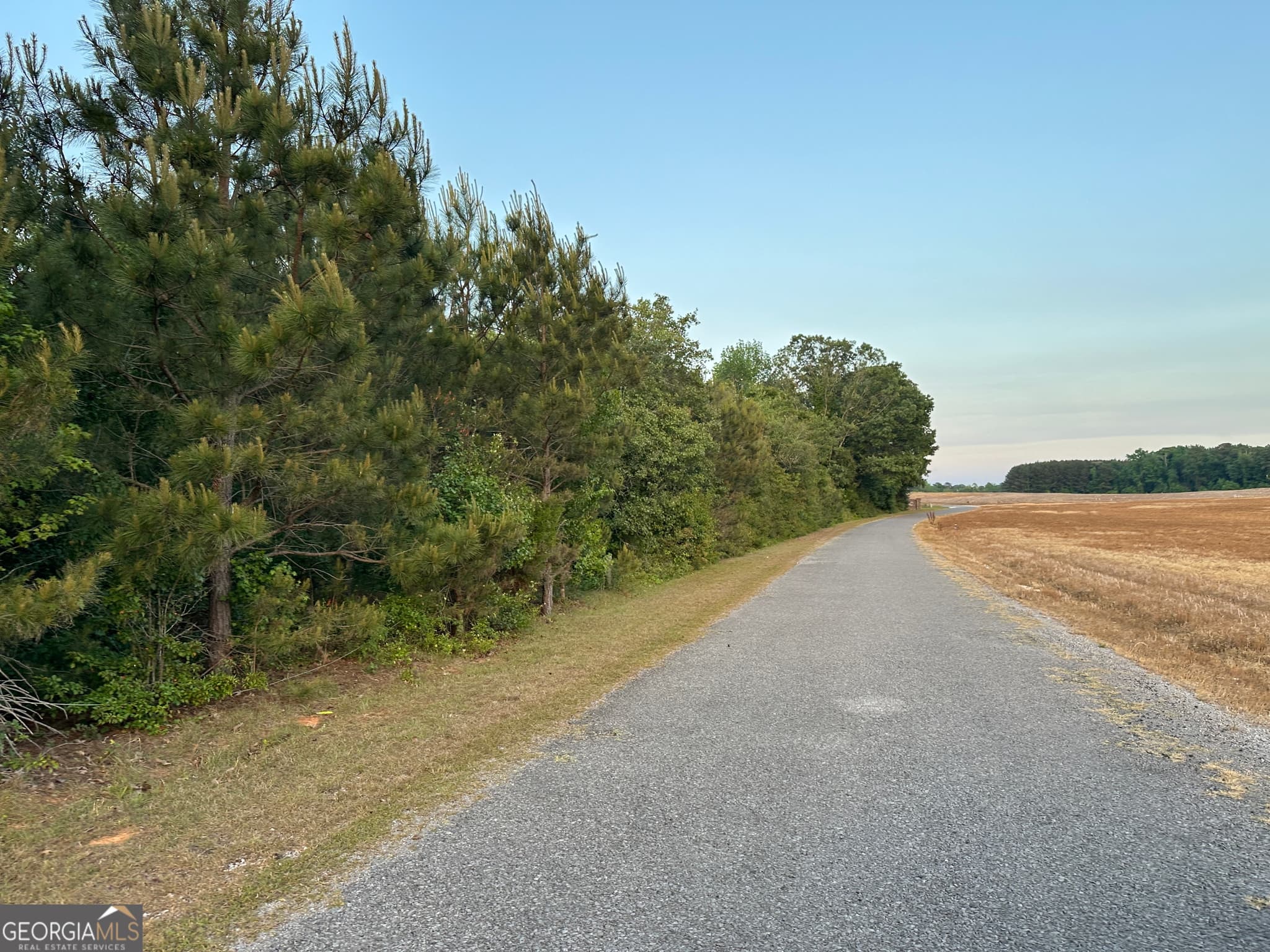unimproved land for sale at LOT 6 County Road 520, Centre, AL 35960 — photo 5