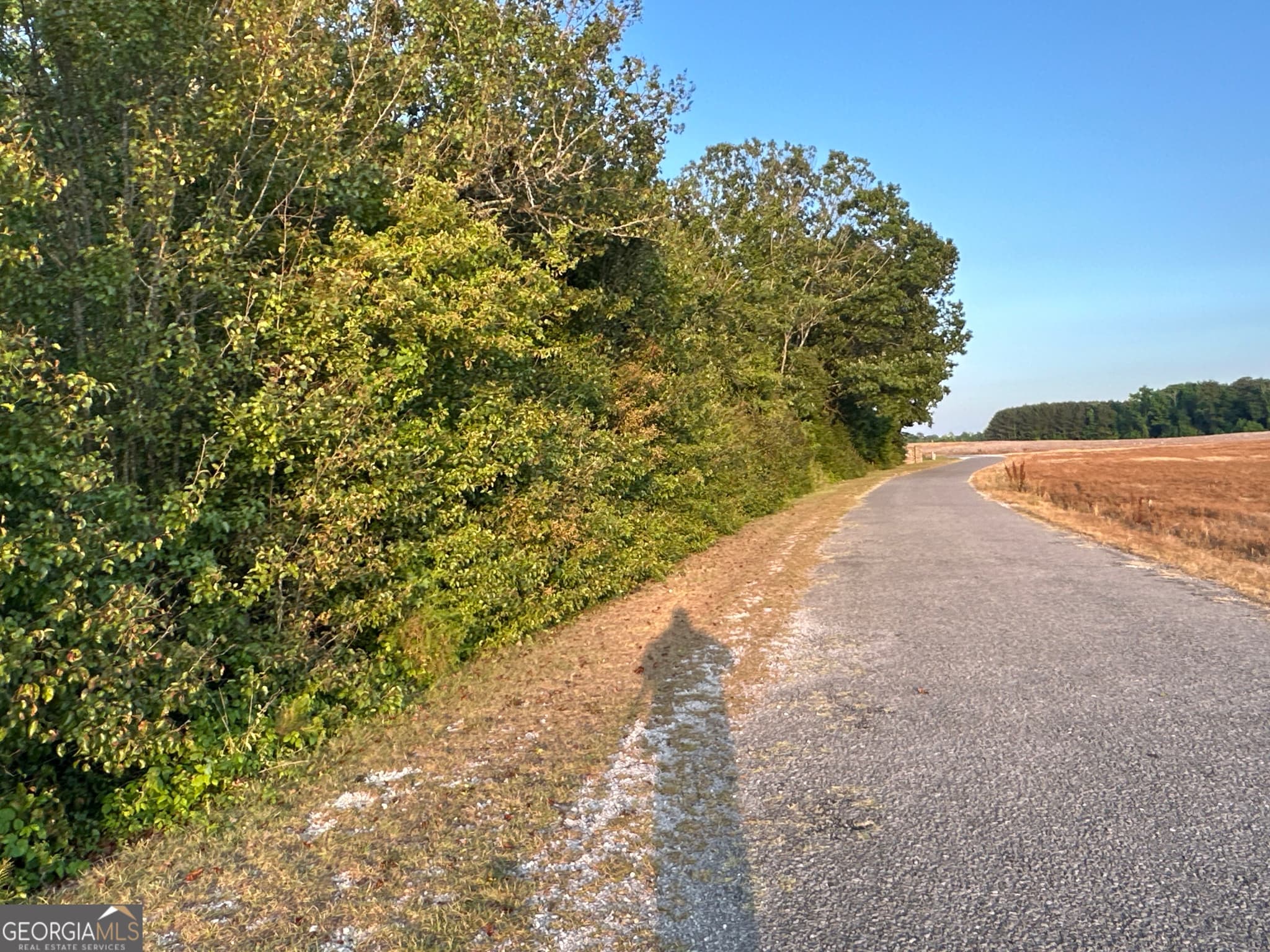 unimproved land for sale at LOT 6 County Road 520, Centre, AL 35960 — photo 10