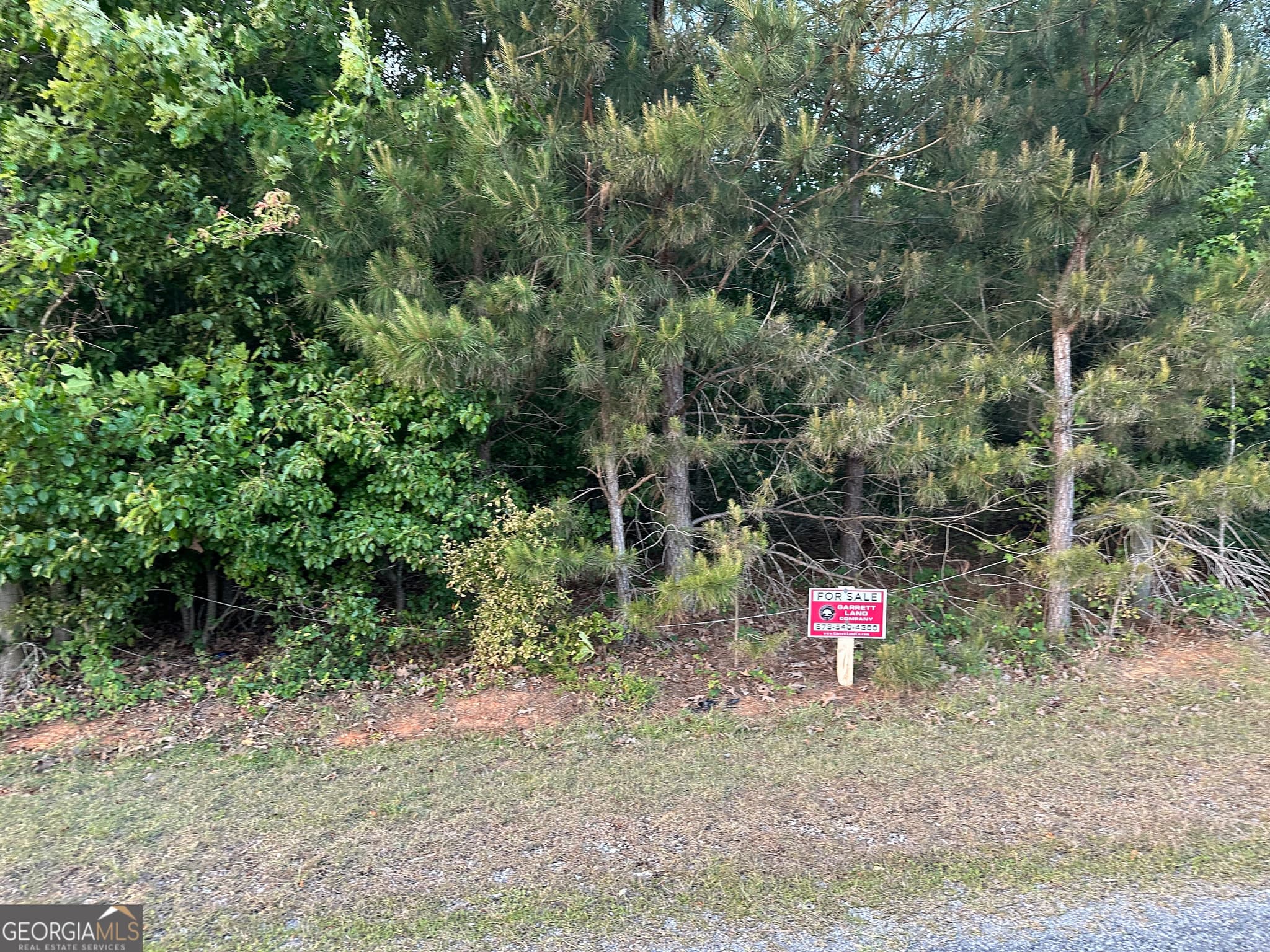 unimproved land for sale at LOT 6 County Road 520, Centre, AL 35960 — photo 4