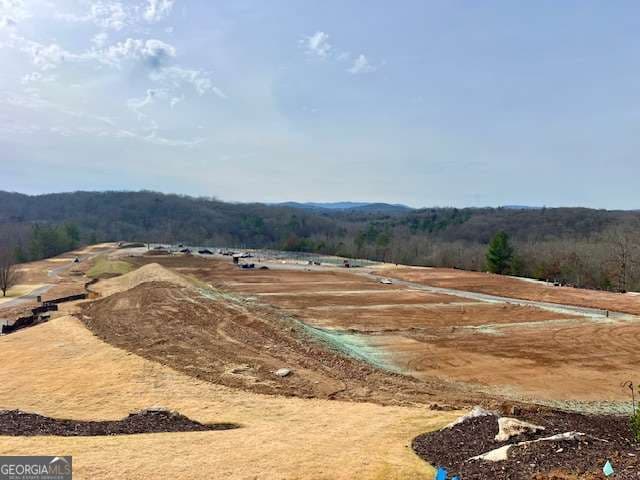residential lot for sale at 149 Hickory Way, Blue Ridge, GA 30513 — photo 6