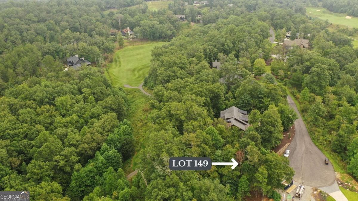residential lot for sale at 149 Hickory Way, Blue Ridge, GA 30513 — photo 3
