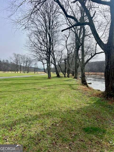 residential lot for sale at 149 Hickory Way, Blue Ridge, GA 30513 — photo 9