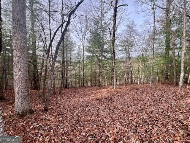 residential lot for sale at 149 Hickory Way, Blue Ridge, GA 30513 — photo 4