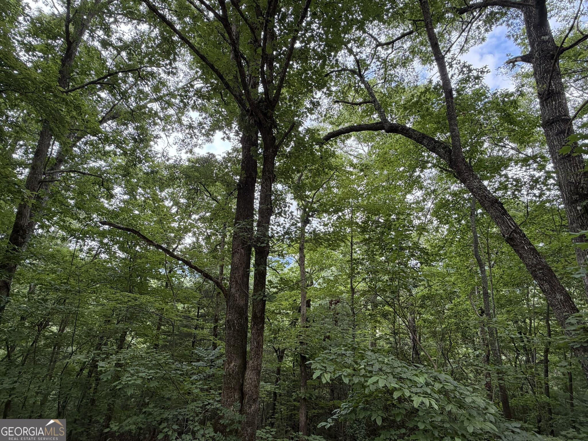 residential lot for sale at 4.63 Twiggs Road, Hiawassee, GA 30546 — photo 2