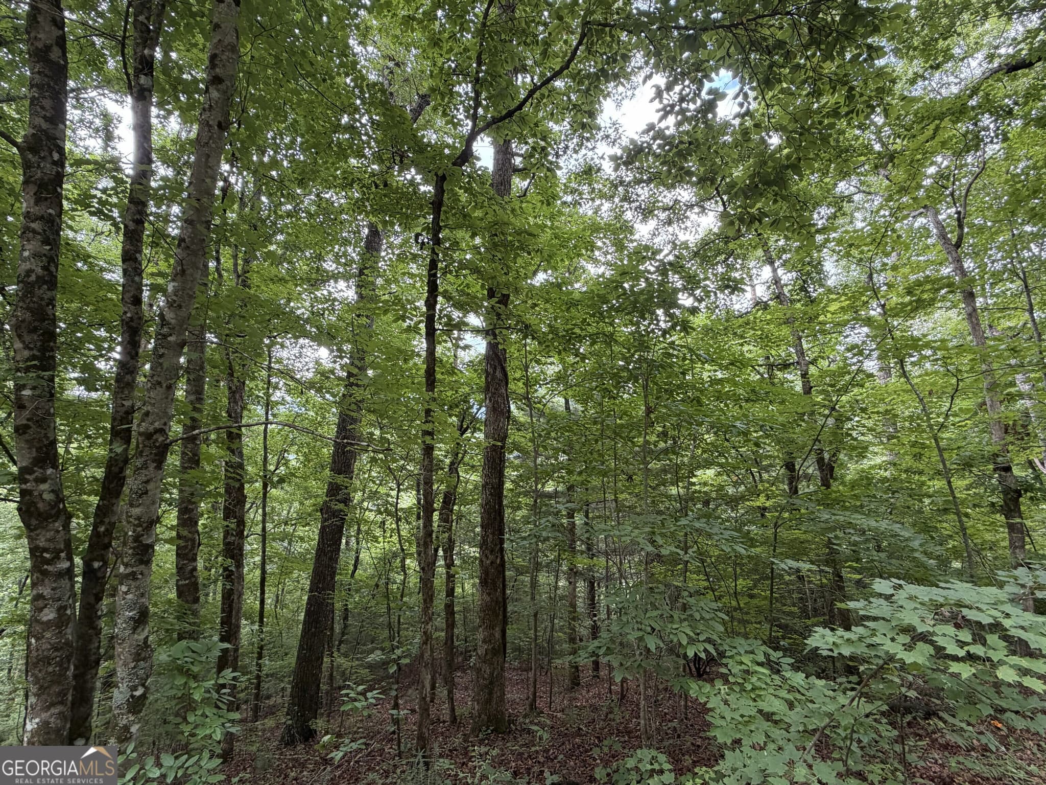 residential lot for sale at 4.63 Twiggs Road, Hiawassee, GA 30546 — photo 6