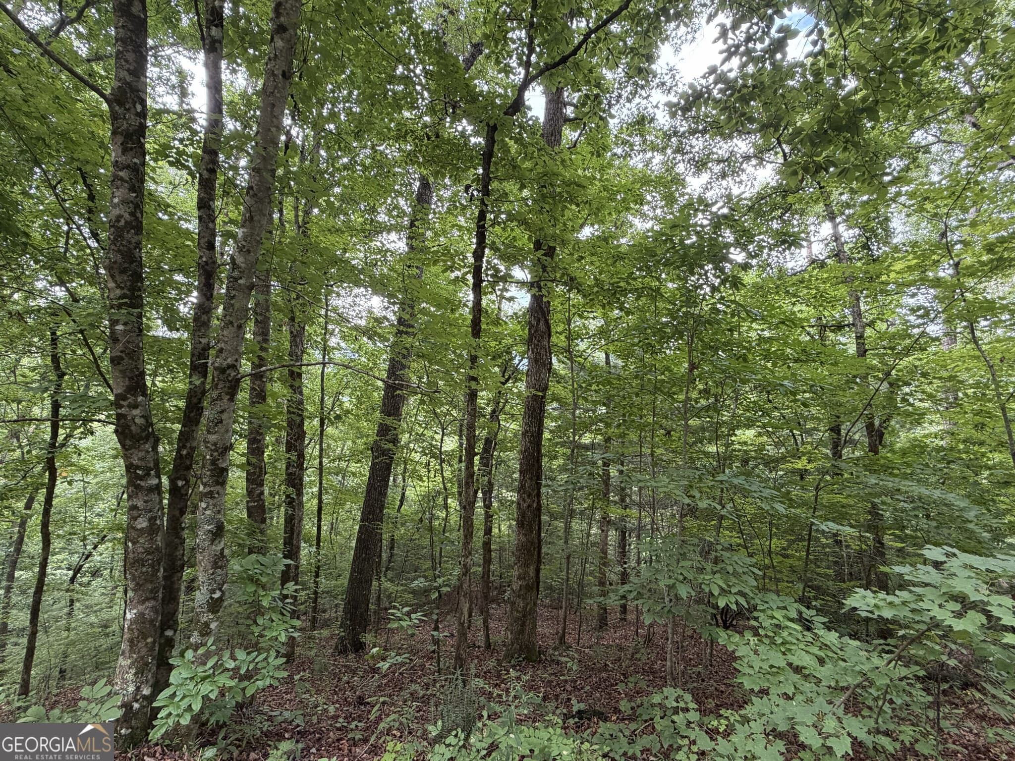 residential lot for sale at 4.63 Twiggs Road, Hiawassee, GA 30546 — photo 7
