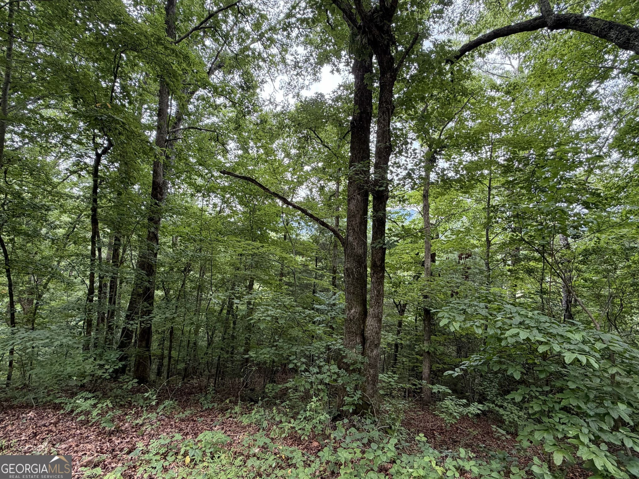 residential lot for sale at 4.63 Twiggs Road, Hiawassee, GA 30546 — photo 3